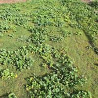 May Nissen Dog Park ico