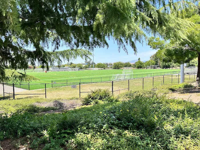 Livermore Canine Park 7
