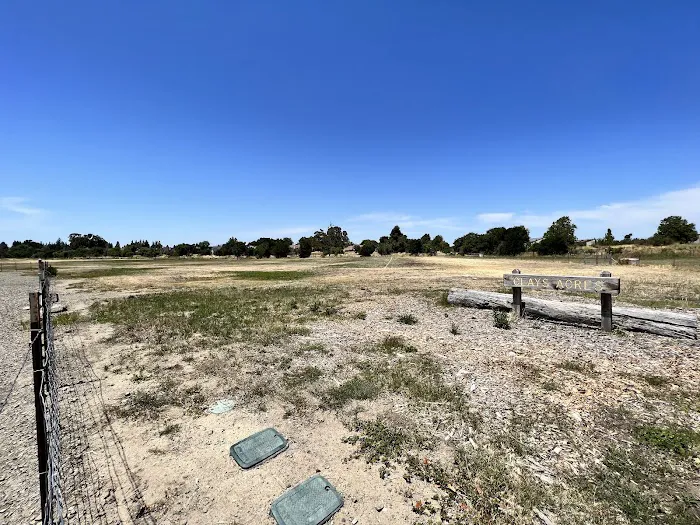Livermore Canine Park 3