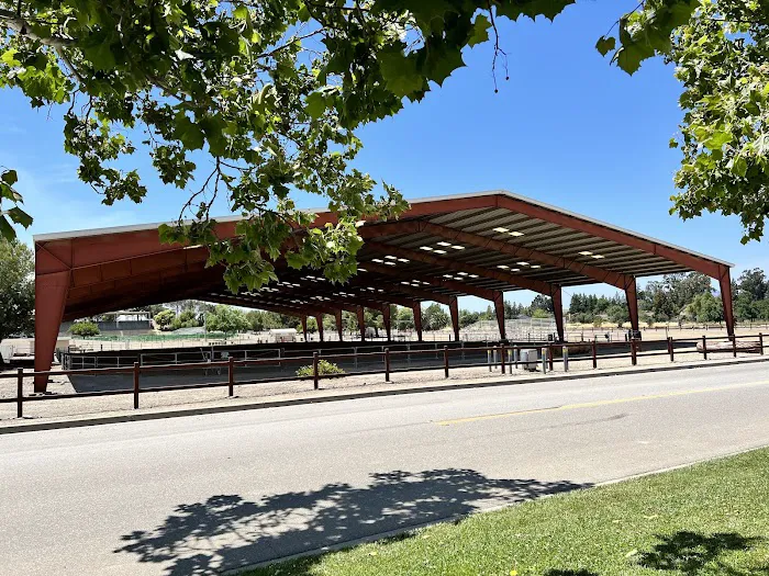 Livermore Canine Park 4
