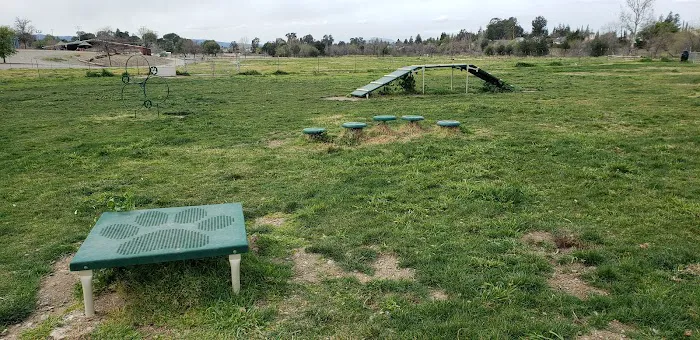 Livermore Canine Park 8