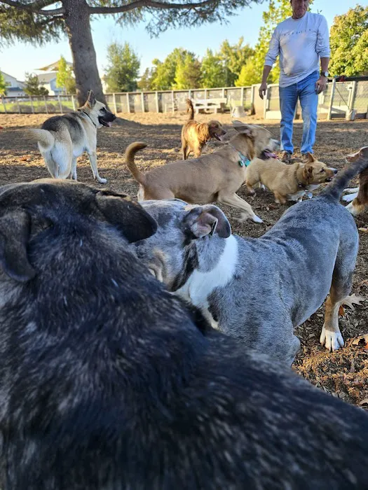 Coffey Park Dog Park 9