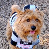 Ragle Ranch Dog Park ico