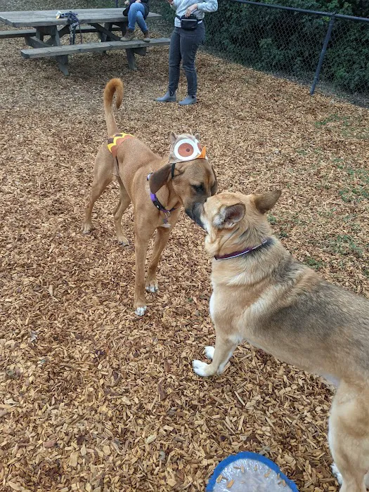 Ragle Ranch Dog Park 5
