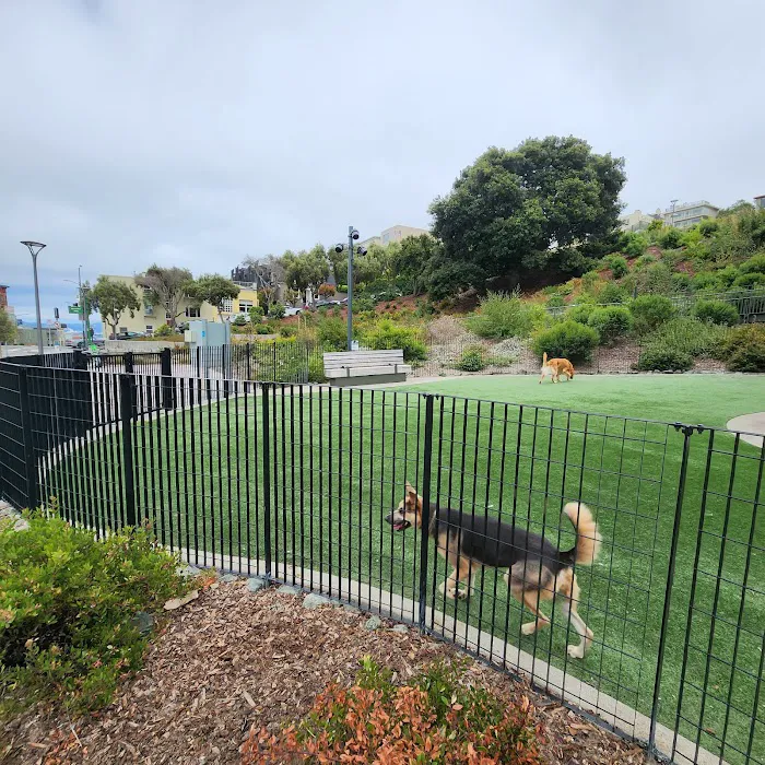 Pepi's Dog Play Area 10