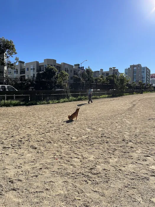 Rincon Hill Dog Park 4