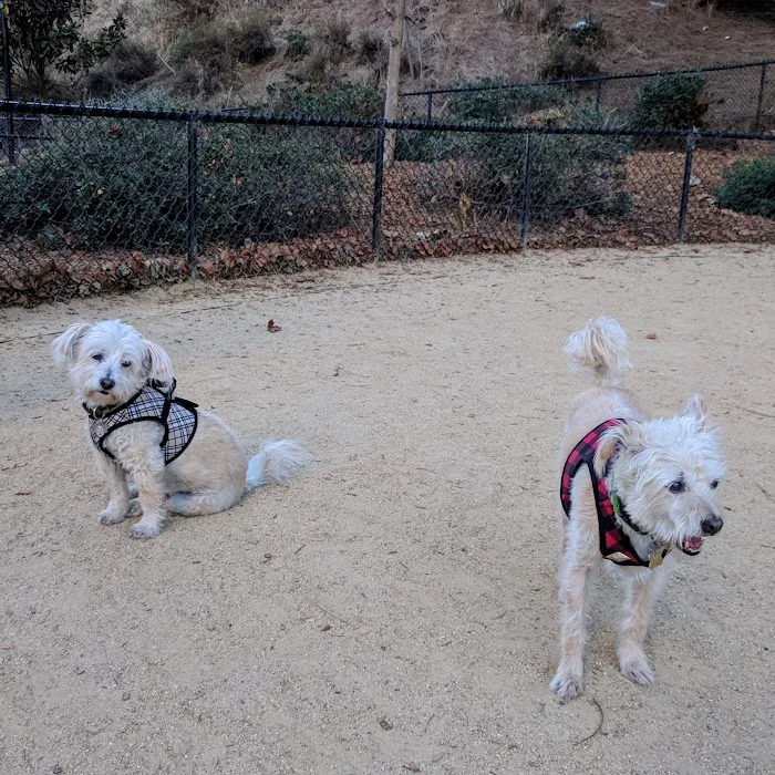 Rincon Hill Dog Park 9