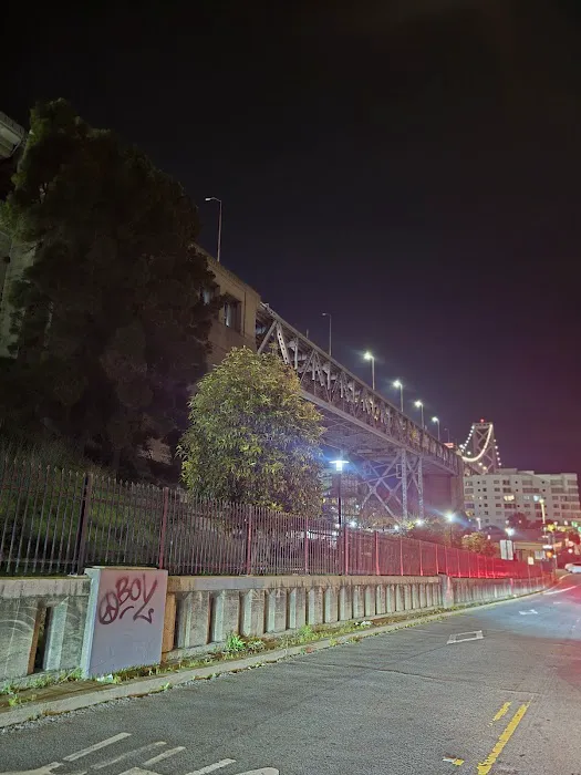 Rincon Hill Dog Park 10