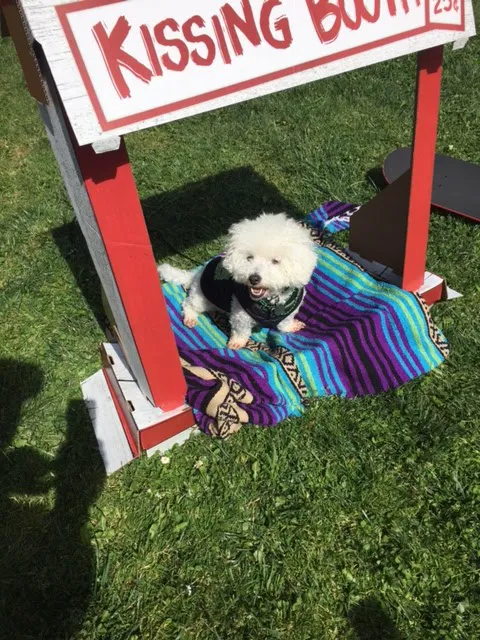 Patrick's Park 4