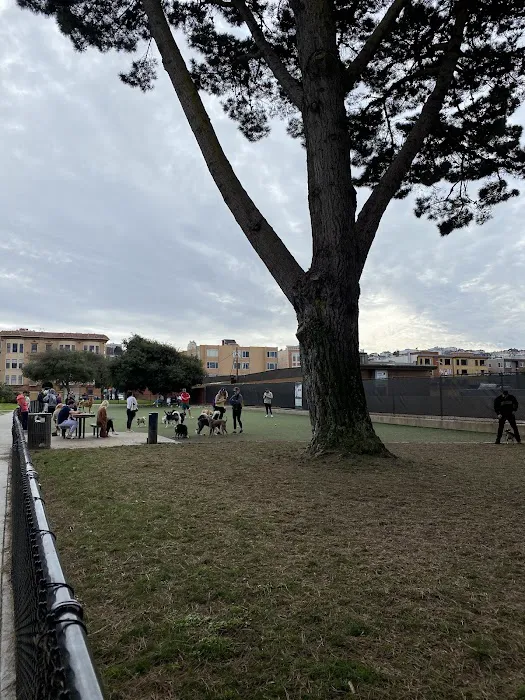 Dog Park | Moscone Park 8
