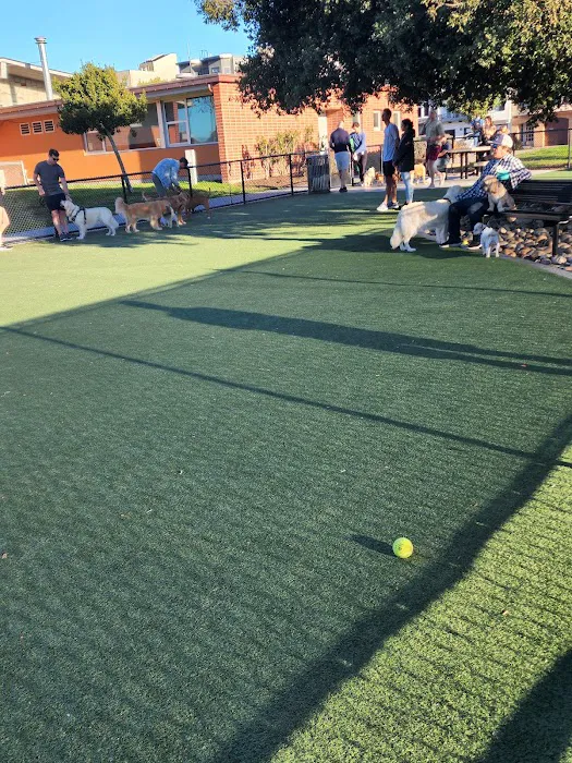 Dog Park | Moscone Park 4