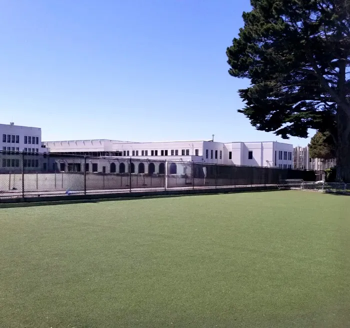 Dog Park | Moscone Park 6