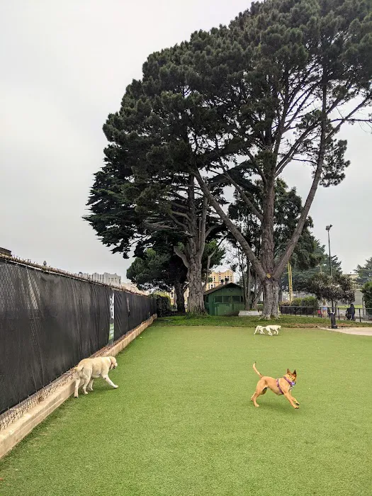 Dog Park | Moscone Park 3