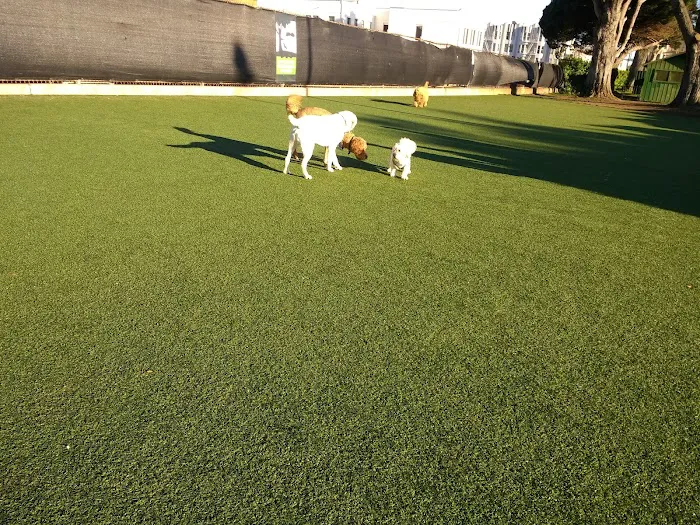 Dog Park | Moscone Park 1