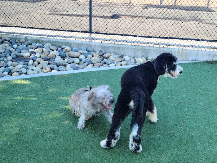 Dog Park | Moscone Park 10