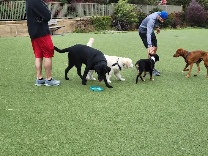 Lafayette Park Dog Play Area 10
