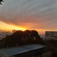 Lafayette Park Dog Play Area ico