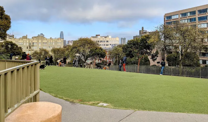 Lafayette Park Dog Play Area 6