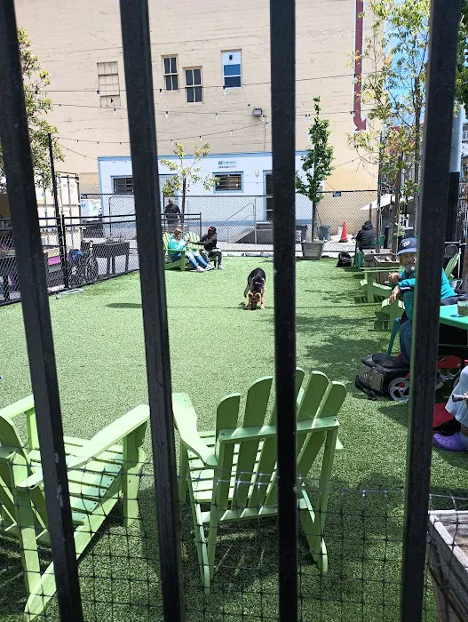 Urban Oasis Dog Park 8