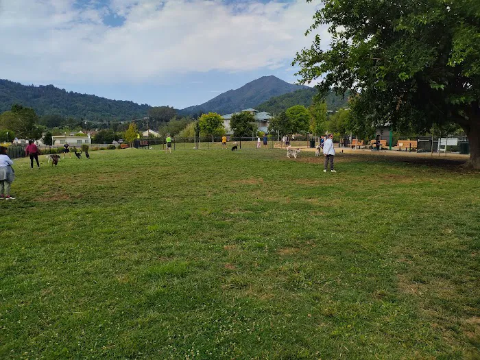 Dog Park | Piper Park 9