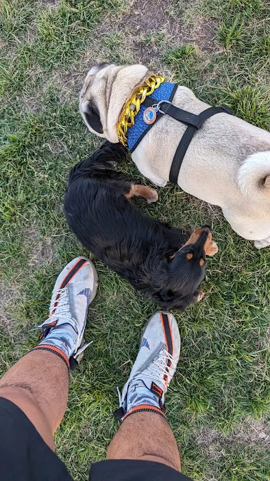 Dog Park | Piper Park 5