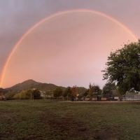 Dog Park | Piper Park ico