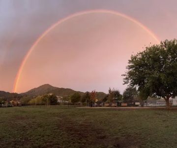 Dog Park | Piper Park