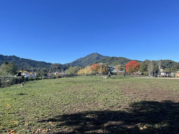 Dog Park | Piper Park 3