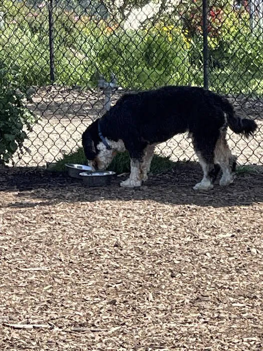 Dog Park | Piper Park 10