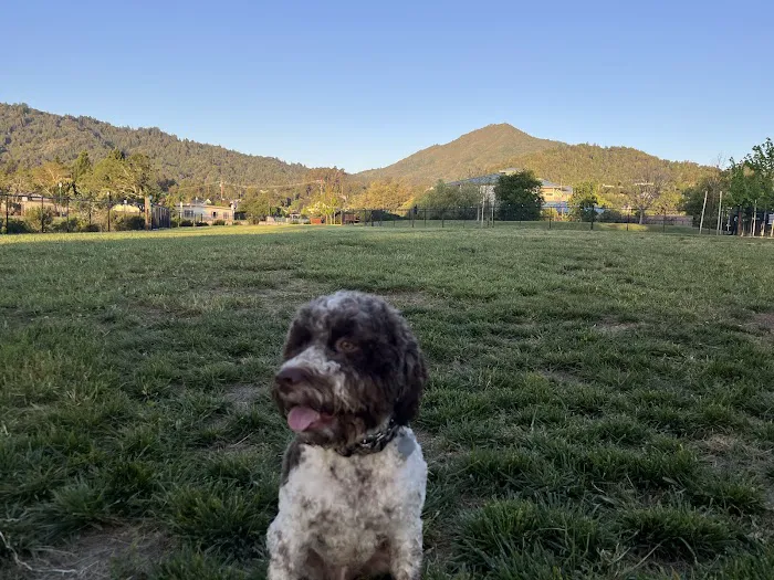 Dog Park | Piper Park 8