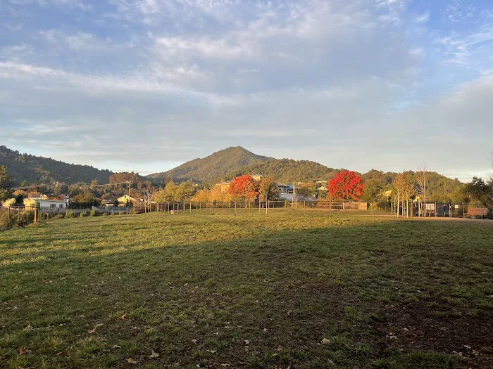 Dog Park | Piper Park 2