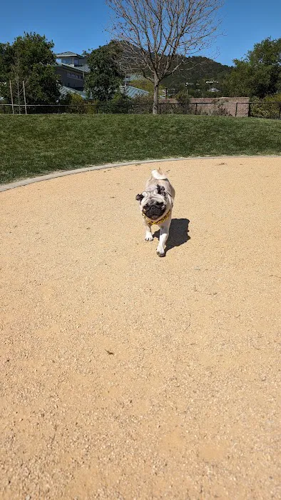 Dog Park | Piper Park 7