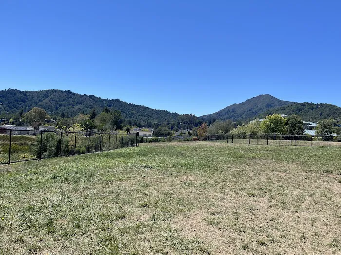 Dog Park | Piper Park 6