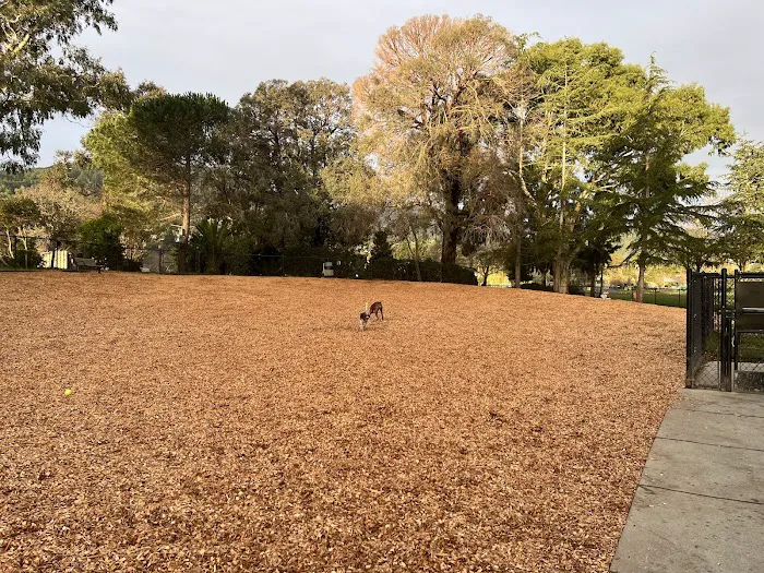 Corte Madera Dog Park 10