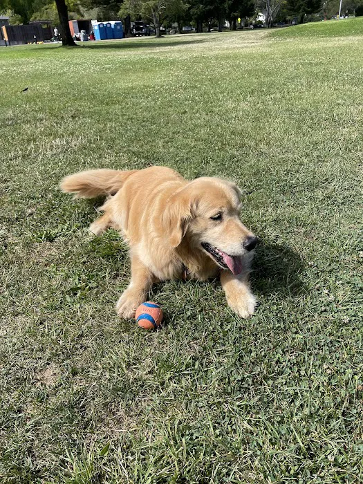 Corte Madera Dog Park 9