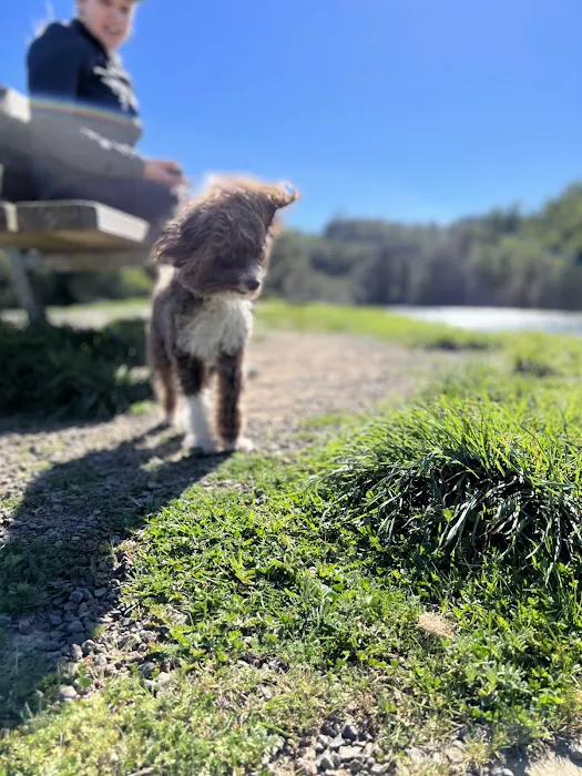 Dog Park | Bayfront Park Mill Valley 8
