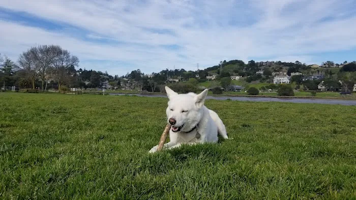 Dog Park | Bayfront Park Mill Valley 6