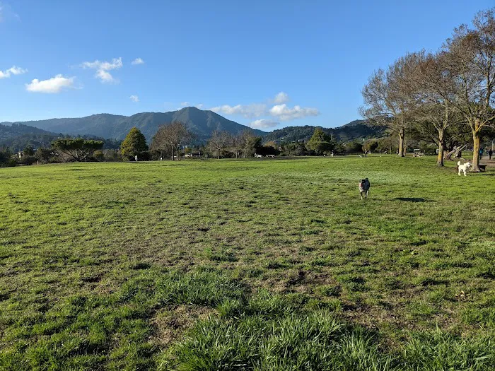 Dog Park | Bayfront Park Mill Valley 3