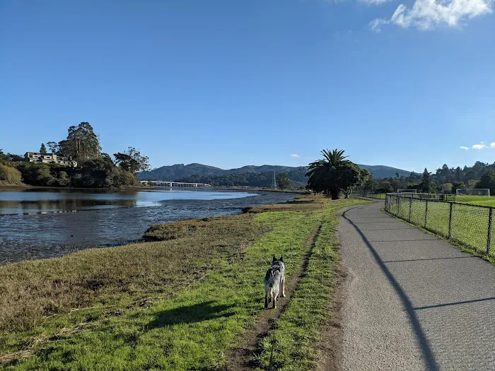 Dog Park | Bayfront Park Mill Valley 9