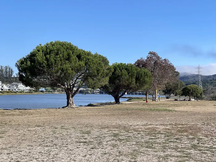Dog Park | Bayfront Park Mill Valley 2