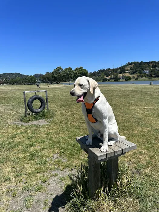 Dog Park | Bayfront Park Mill Valley 4