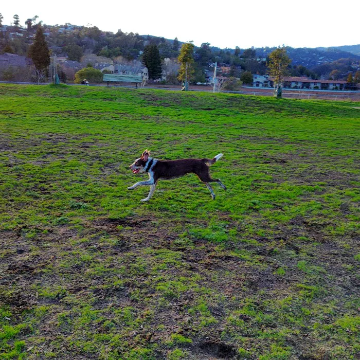 Dog Park | Bayfront Park Mill Valley 7