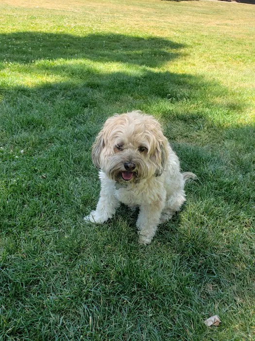 Dog Park | Bayfront Park Mill Valley 10