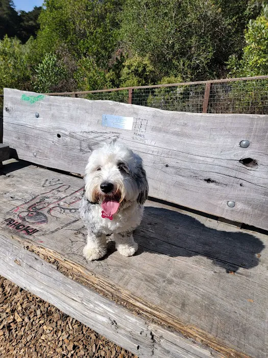 Mountain Lake Park Dog Play Area 2