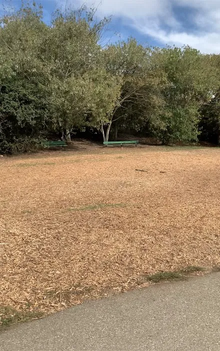 Mountain Lake Park Dog Play Area 9