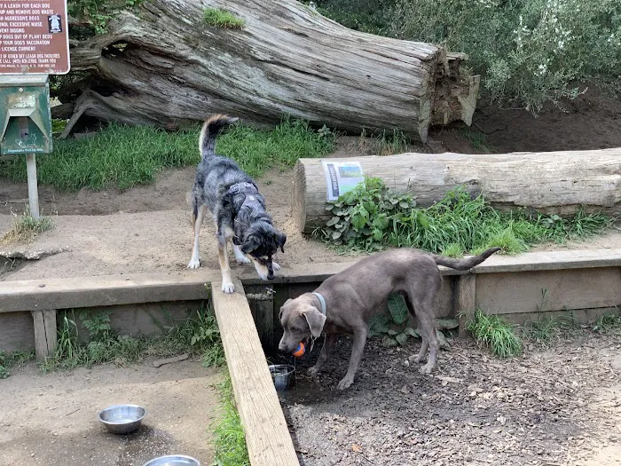 Mountain Lake Park Dog Play Area 6