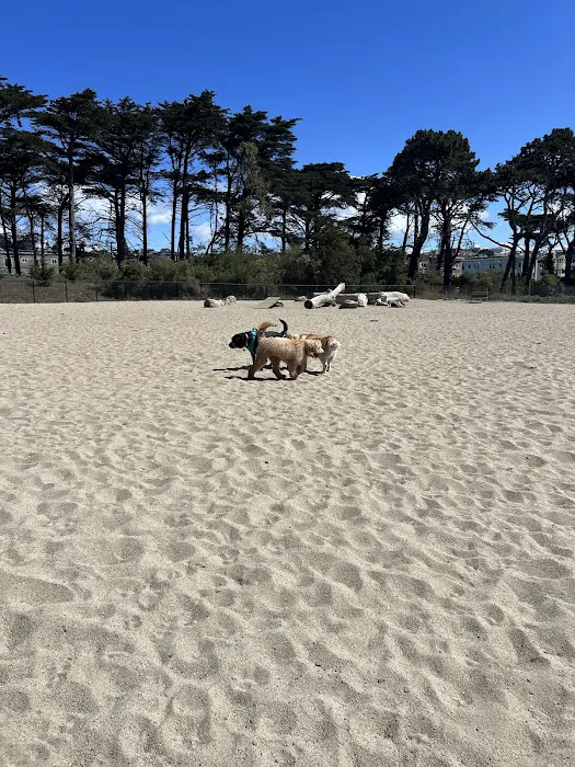 Golden Gate Park Dog Training Area 3