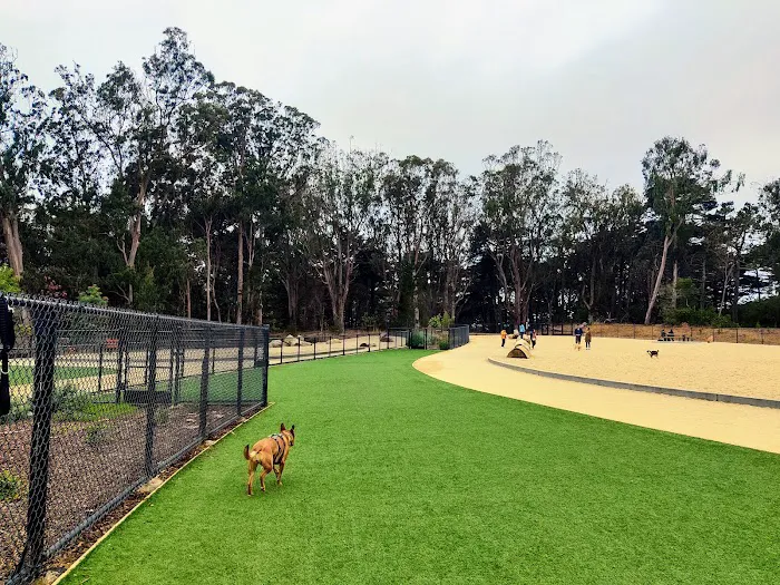 Golden Gate Park Dog Training Area 4