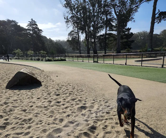 Golden Gate Park Dog Training Area 8