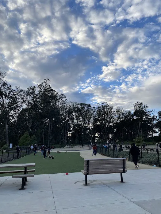 Golden Gate Park Dog Training Area 9